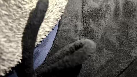 just a broken boy online show from 12, 1, 2026