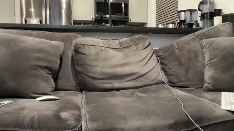 Snapshot of brwm2013 chatting on 12, 1, 2025 brwm2013 online show from 12, 1, 2025