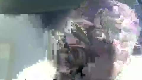 Casey online show from 14, 2, 2026