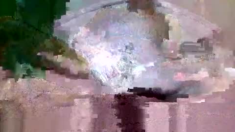 buffsurgeon1 online show from 8, 9, 2025