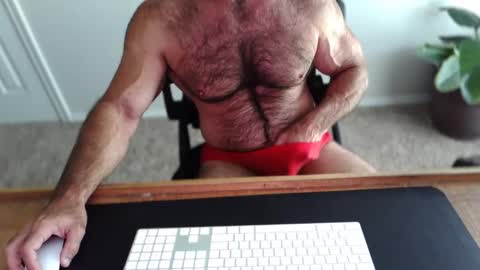 Snapshot of bullbud chatting on 11, 5, 2026 Wrestling Dads.. hit me up. online show from 11, 5, 2026