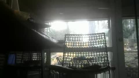 bulldog302w online show from 14, 1, 2026