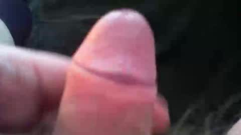 bullemoe online show from 5, 11, 2025