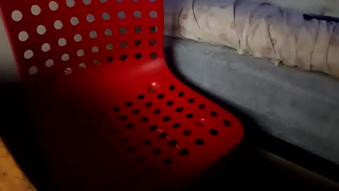 Snapshot of bullspain27266272 chatting on 26, 1, 2025 bullspain27266272 online show from 26, 1, 2025