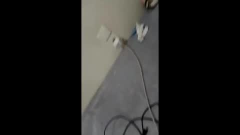 Snapshot of bullspain27266272 chatting on 29, 1, 2025 bullspain27266272 online show from 29, 1, 2025