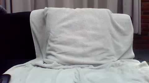 Dutch cock online show from 19, 7, 2026