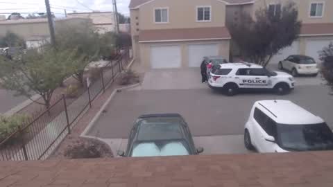 BUNNIE and THE DUDE TheLebowskis online show from 27, 9, 2025