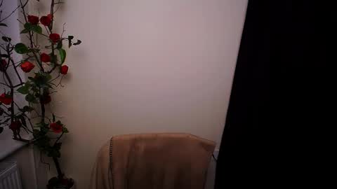 Snapshot of bunnybloom_ chatting on 20, 3, 2026 Ariel online show from 20, 3, 2026