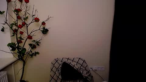 Snapshot of bunnybloom_ chatting on 25, 3, 2026 Ariel online show from 25, 3, 2026