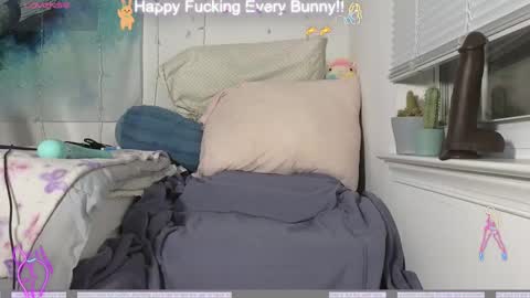 Snapshot of bunnycheekz chatting on 4, 12, 2024 Tokki bunny online show from 4, 12, 2024