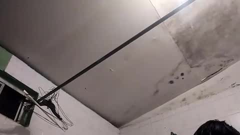 bunnychocolatte69 online show from 30, 11, 2025