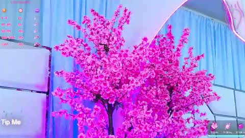 Bunny online show from 4, 3, 2026