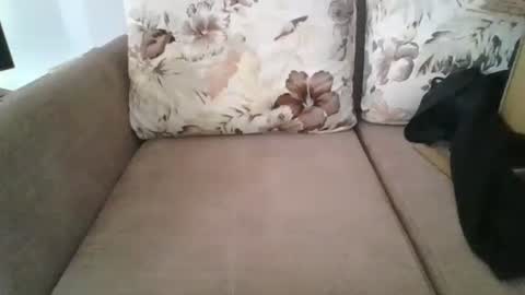 burak20x online show from 30, 10, 2025