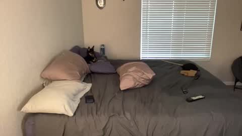 Pocket Daddy cockring gaycouple cockring lovense daddy online show from 19, 5, 2026