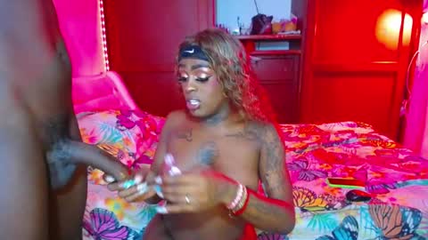 butterfly_rouse online show from 9, 1, 2026