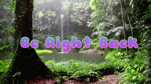 Snapshot of butterflyandbear chatting on 8, 12, 2024 Butterfly and Bear online show from 8, 12, 2024