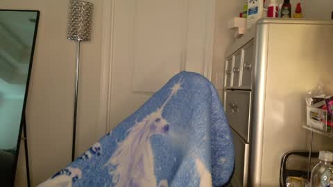 Snapshot of butterflybootyy chatting on 30, 3, 2026 butterfly booty online show from 30, 3, 2026