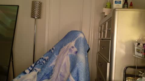 Snapshot of butterflybootyy chatting on 31, 3, 2026 butterfly booty online show from 31, 3, 2026