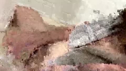 Snapshot of buzzed_gaming chatting on 17, 2, 2025 buzzed_gaming online show from 17, 2, 2025