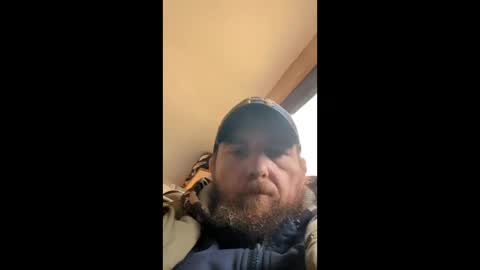 buzzlightwheels online show from 12, 3, 2026