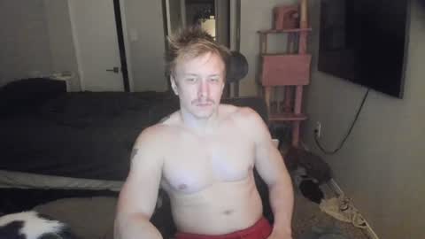 Snapshot of c00ki3m0nstr chatting on 19, 6, 2026 c00ki3m0nstr online show from 19, 6, 2026