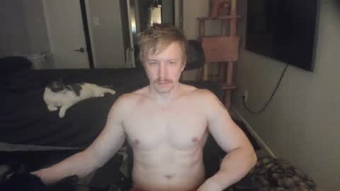 Snapshot of c00ki3m0nstr chatting on 5, 7, 2026 c00ki3m0nstr online show from 5, 7, 2026