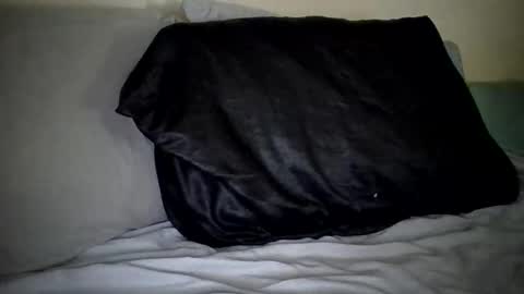 Snapshot of caligirl310r chatting on 27, 1, 2025 Caligurl Queen Head Fluffer In Charge Goddess of Cocktease Mistress of Holes online show from 27, 1, 2025