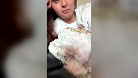 calishop1 online show from 12, 3, 2026