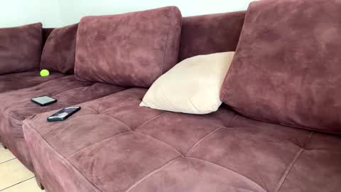 My name is Robert  Dont be shysay hi I love to chat. For requests or dirty talk please use tips  online show from 20, 2, 2026