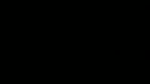 Charly online show from 17, 1, 2026