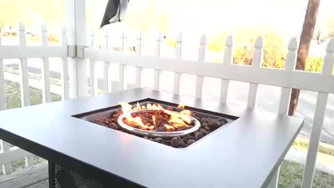 Chillaxin lets talk  online show from 25, 12, 2024