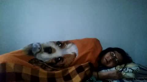 Snapshot of cameron_puppy chatting on 5, 2, 2025 Mara Catalina Romero Ordez online show from 5, 2, 2025