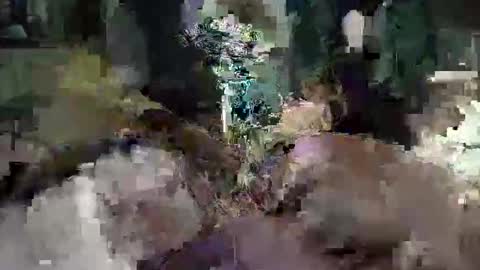 Snapshot of cameronrays chatting on 25, 4, 2026 CameronRays online show from 25, 4, 2026