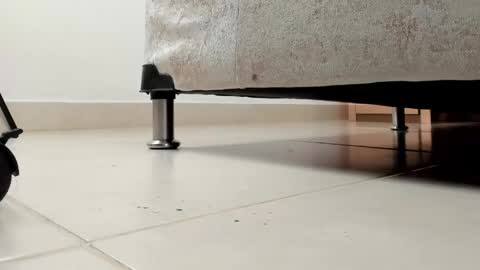 Snapshot of cami_lovers1 chatting on 13, 4, 2026 camii online show from 13, 4, 2026