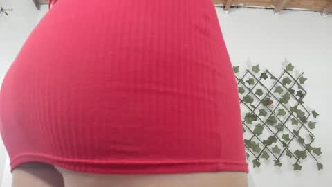 camihotboobs online show from 29, 1, 2025