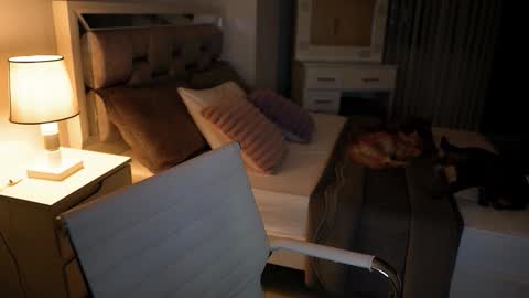 Camila buitrago online show from 18, 11, 2025