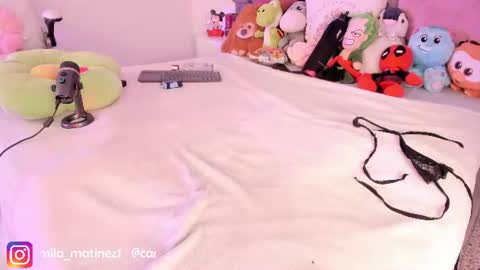 Snapshot of camila_matinez_ chatting on 22, 6, 2026 Camila online show from 22, 6, 2026