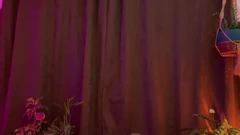 Snapshot of camille_delrey chatting on 31, 3, 2026 Camille online show from 31, 3, 2026