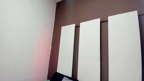  CAMI  online show from 17, 2, 2026