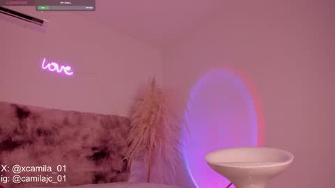 Snapshot of cammile_cole chatting on 21, 12, 2024 Laura Camila online show from 21, 12, 2024