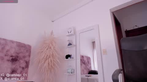 Snapshot of cammile_cole chatting on 18, 1, 2025 Laura Camila online show from 18, 1, 2025