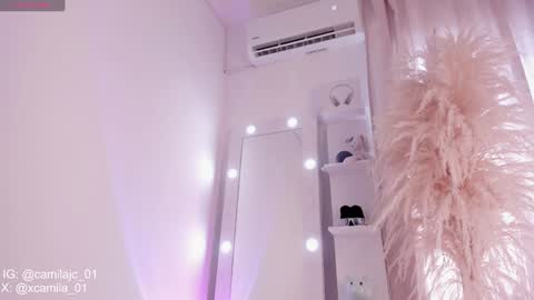 Snapshot of cammile_cole chatting on 30, 1, 2025 Laura Camila online show from 30, 1, 2025