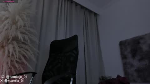 Snapshot of cammile_cole chatting on 1, 2, 2025 Laura Camila online show from 1, 2, 2025