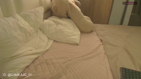 Laura Camila online show from 18, 1, 2026