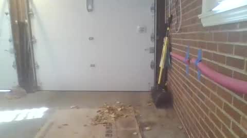 Snapshot of cammyman6900 chatting on 13, 11, 2025 cammyman6900 online show from 13, 11, 2025