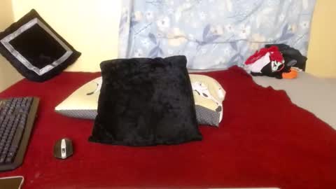 candy_hun online show from 28, 10, 2025