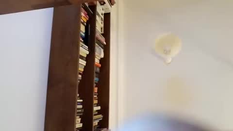 capelon online show from 17, 11, 2025