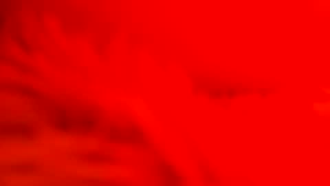 captain_nature online show from 26, 2, 2025