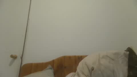 caravibugue online show from 7, 12, 2024