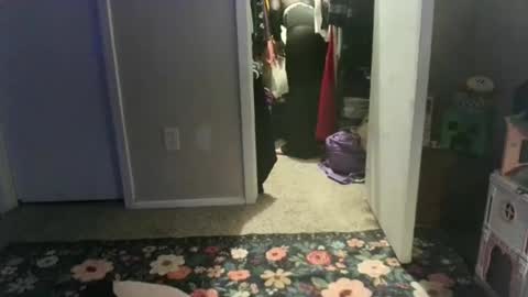 Snapshot of careerwife chatting on 17, 4, 2026 careerwife online show from 17, 4, 2026